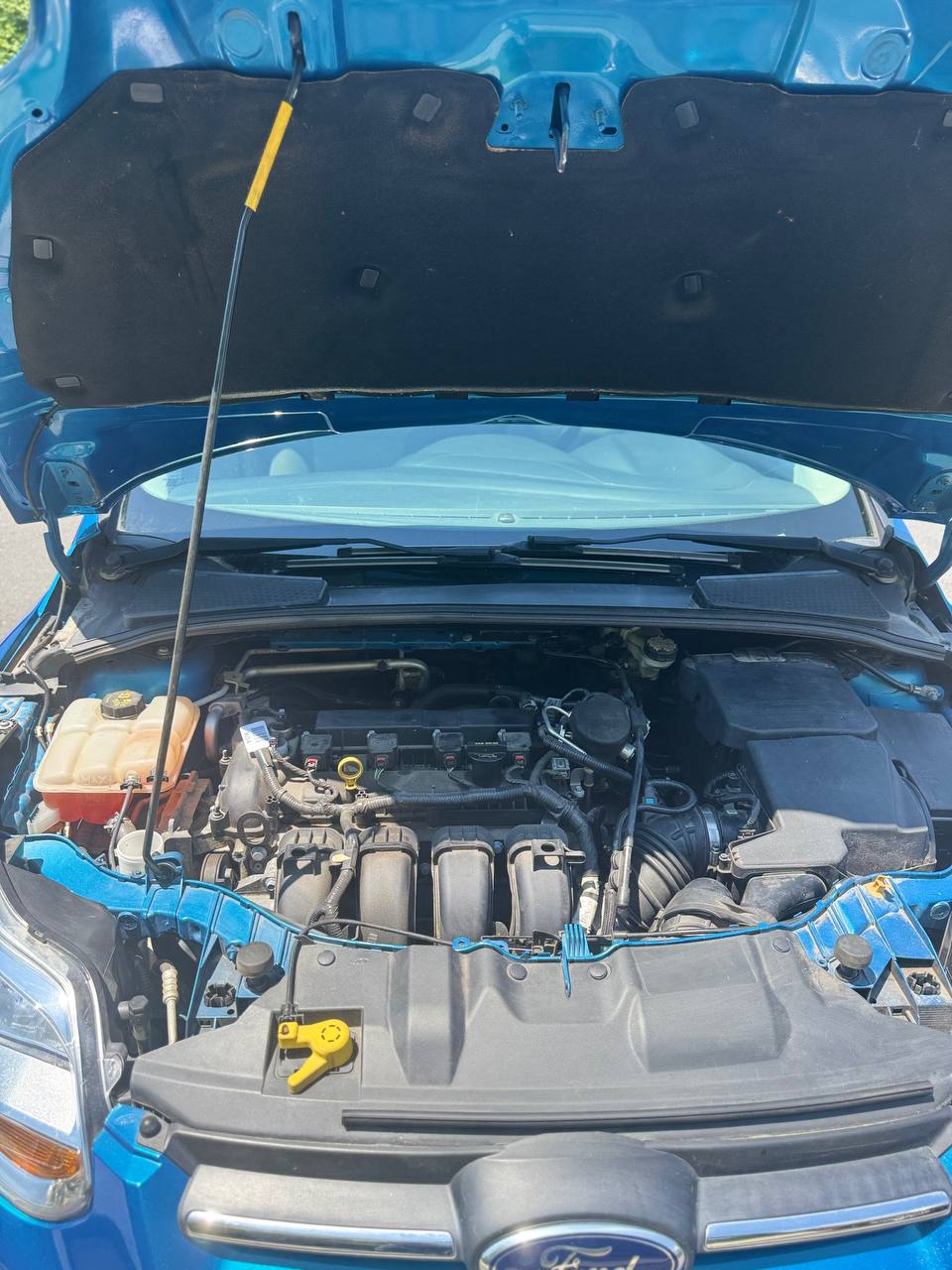 Ford Focus SE (2014) - Gasoline