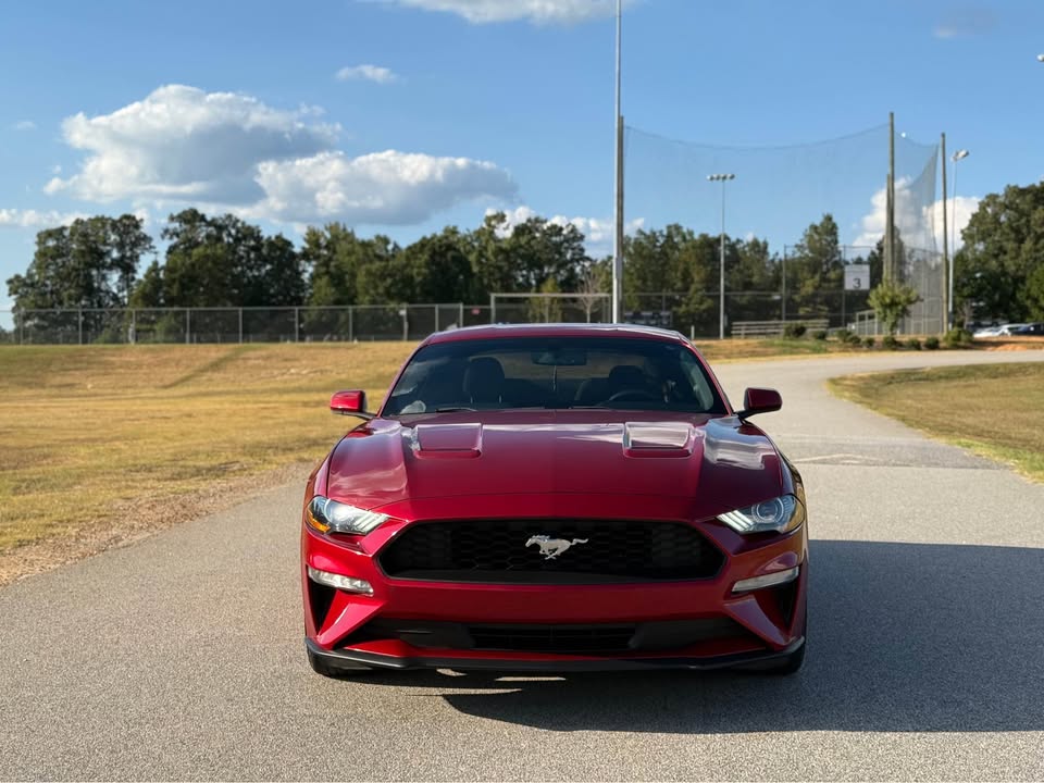 Ford Mustang (2020) - Gasoline