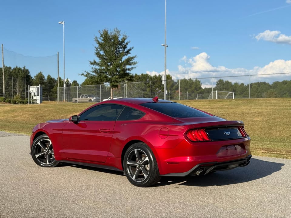 Ford Mustang (2020) - Gasoline